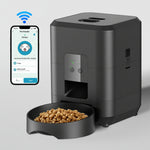 Automatic cat feeder for busy pet owners