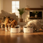 Non-electric pet feeder with food and water dispensing system